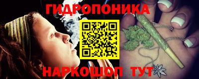 стафф Гусев