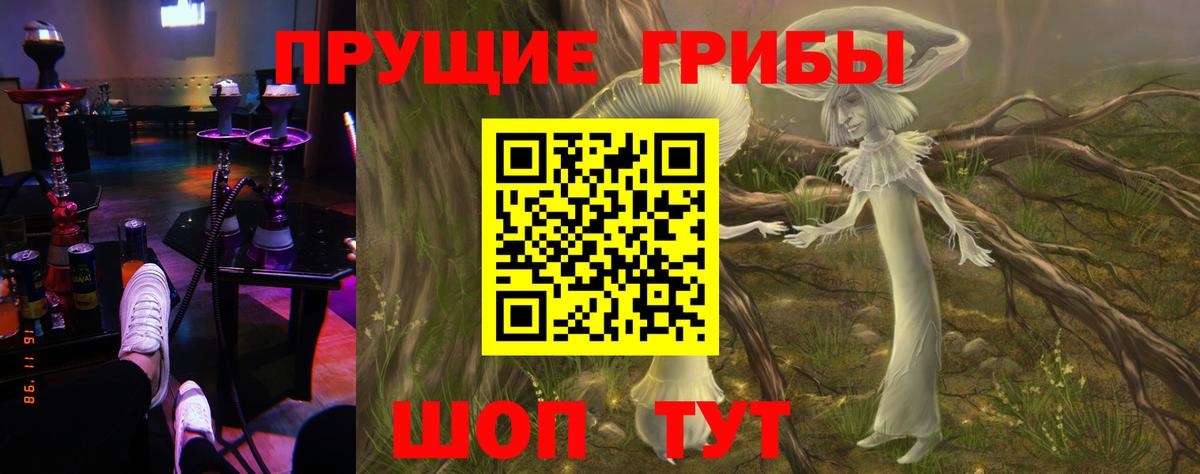 Галлюциногенные грибы MAGIC MUSHROOMS  Вход с VPN  Мурманск 