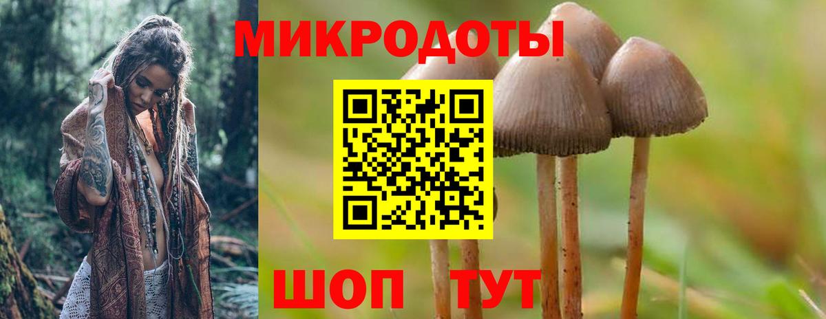 Псилоцибиновые грибы Magic Shrooms Мурманск